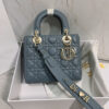 SMALL LADY DIOR MY ABCDIOR BAG