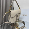 Dior Saddle Bag with Strap