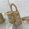 Mini Lady Dior Bag(HIGH-END GRADE)