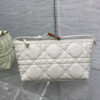 Diorstar Hobo Bag with Chain