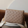 LV Coussin PM(HIGH-END GRADE)