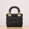 Mini Lady Dior Bag(HIGH-END GRADE)