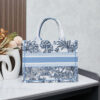 Medium Dior Book Tote