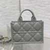 Mini Dior Book Tote