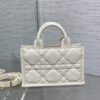 Mini Dior Book Tote