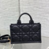 Mini Dior Book Tote