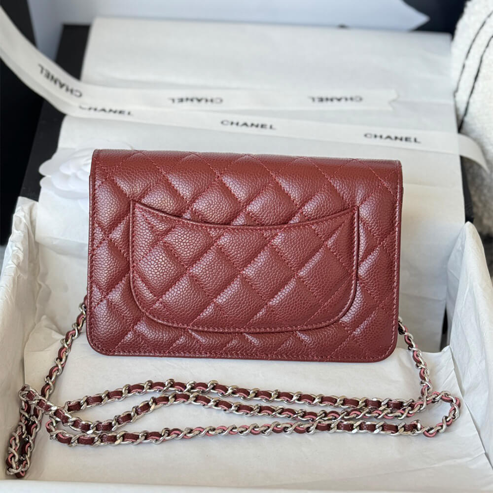 CHANEL Classic Wallet On Chain(high-end grade)