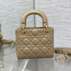 Mini Lady Dior Bag(HIGH-END GRADE)