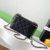 Chanel Long Vanity with chain(HIGH-END GRADE)