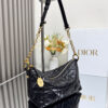 Diorstar Hobo Bag with Chain