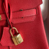 HERMES BIRKIN BAG 25