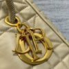 Medium Dior Nolita Bag(HIGH-END GRADE)