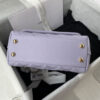 Chanel MINI COCO Handle Bag(HIGH-END GRADE)