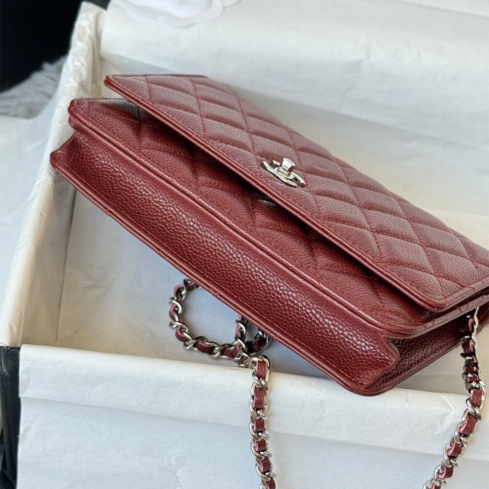 CHANEL Classic Wallet On Chain(high-end grade)