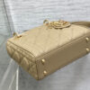 Mini Lady Dior Bag(HIGH-END GRADE)
