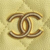 CHANEL Classic Hobo with Chain(High-end Grade)