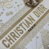 Dior Medium Lady D-Lite Bag