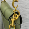 DIOR Mini Saddle Bag with Strap
