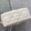 Diorstar Hobo Bag with Chain