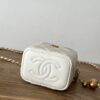 CHANEL Small Vanity Case(HIGH-END GRADE)