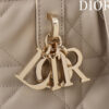 Small Dior Toujours Vertical Tote Bag(high-end grade)