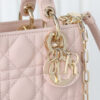Dior Lady D-Joy Micro Bag(HIGH-END GRADE)