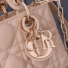 Dior Lady D-Joy Micro Bag(HIGH-END GRADE)