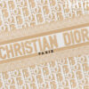 Dior Medium Dior Book Tote(HIGH-END GRADE)