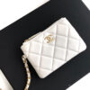 Chanel Clutch with Chain(HIGH-END GRADE)