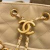 CHANEL 25 Medium Handbag(high-end grade)