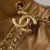 CHANEL 25 Small Handbag(HIGH-END GRADE)