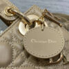 Mini Lady Dior Bag(HIGH-END GRADE)