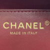 CHANEL Mini Camera Case