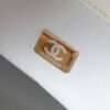 CHANEL 25 Small Handbag(HIGH-END GRADE)