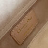 Dior Lady D-Joy Micro Bag(HIGH-END GRADE)