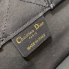 Mini Dior Book Tote