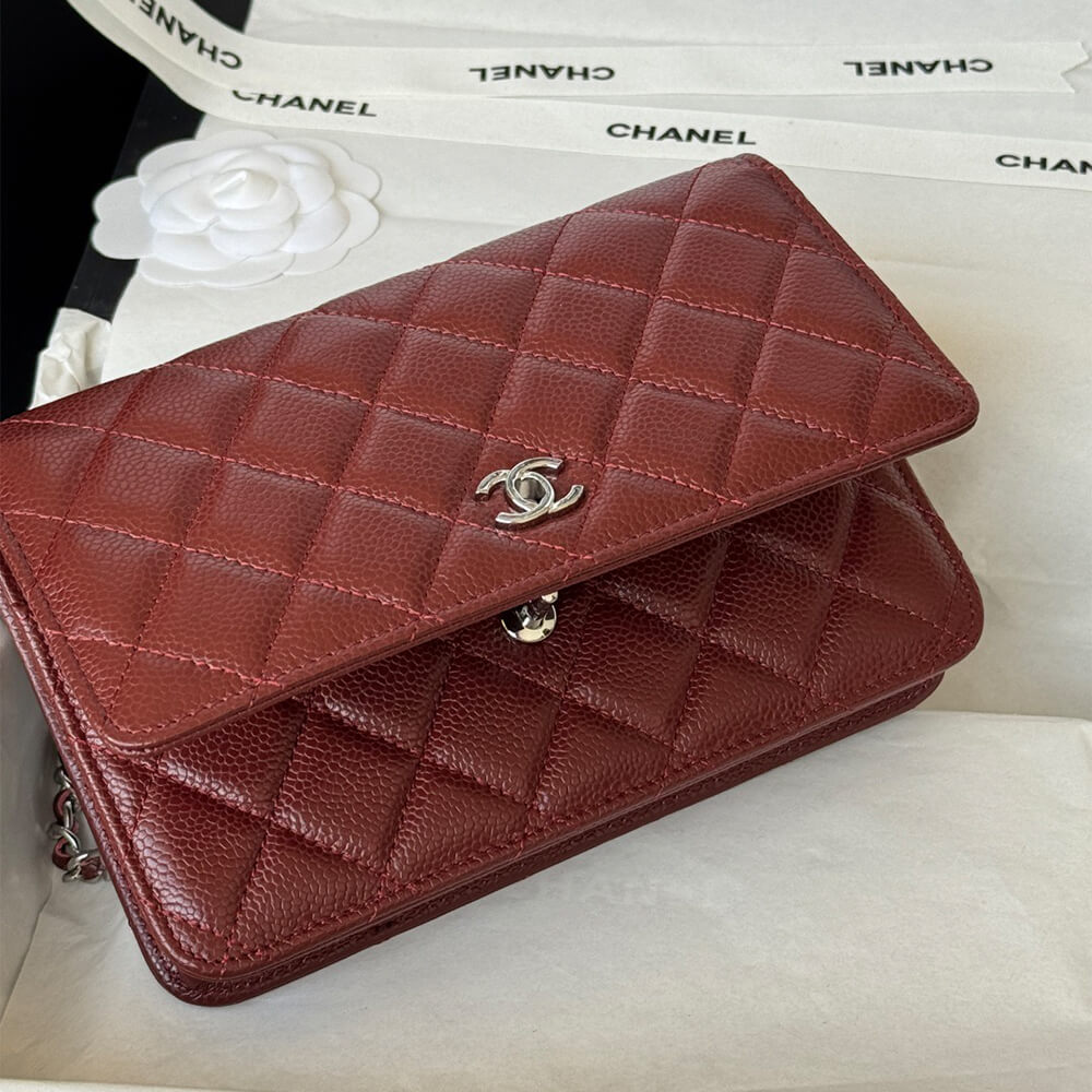 CHANEL Classic Wallet On Chain(high-end grade)