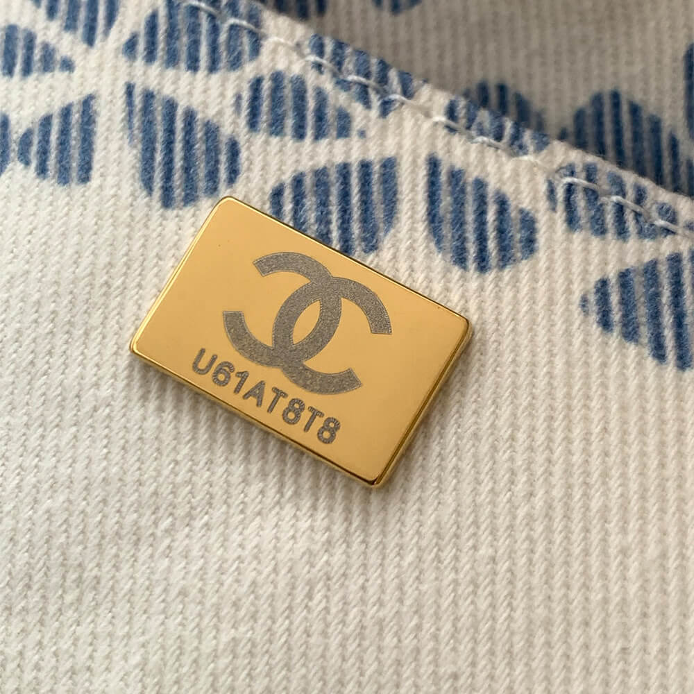 Chanel Coco Beach Large Hobo Bag(high-end grade)