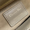 Mini Lady Dior Bag(HIGH-END GRADE)