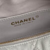 CHANEL Classic Hobo with Chain(High-end Grade)