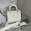 SMALL LADY DIOR MY ABCDIOR BAG