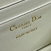 MISS DIOR MINI BAG