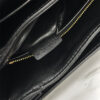 CELINE CLASSIQUE TRIOMPHE BAG IN SHINY CALFSKIN(high-end grade)