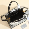 Small Dior Book Tote