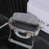 Dior Lady D-Joy Micro Bag(HIGH-END GRADE)